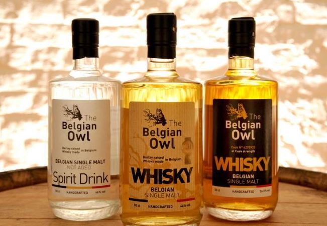 the_belgian_owl_range_3_bout