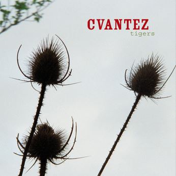 cvantez_tigers_album cvantez_tigers_album