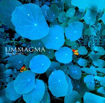 ummagma_frequency_cover ummagma_frequency_cover